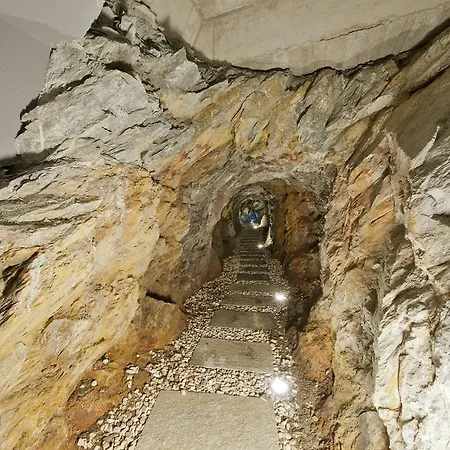Schennerhof Отель Скена
